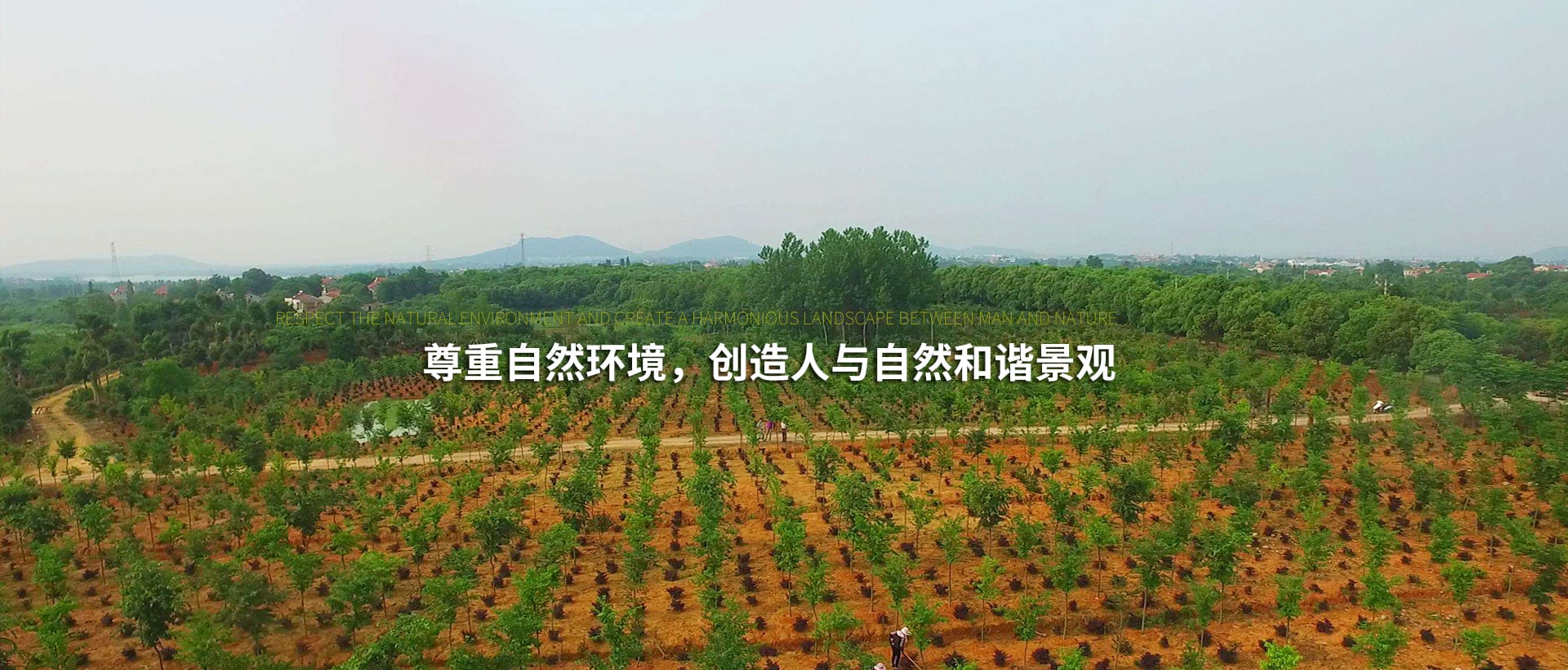 尊重自然環(huán)境，創(chuàng)造人與自然和諧景觀(guān)